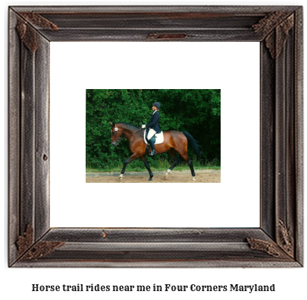 horse trail rides near me in Four Corners, Maryland